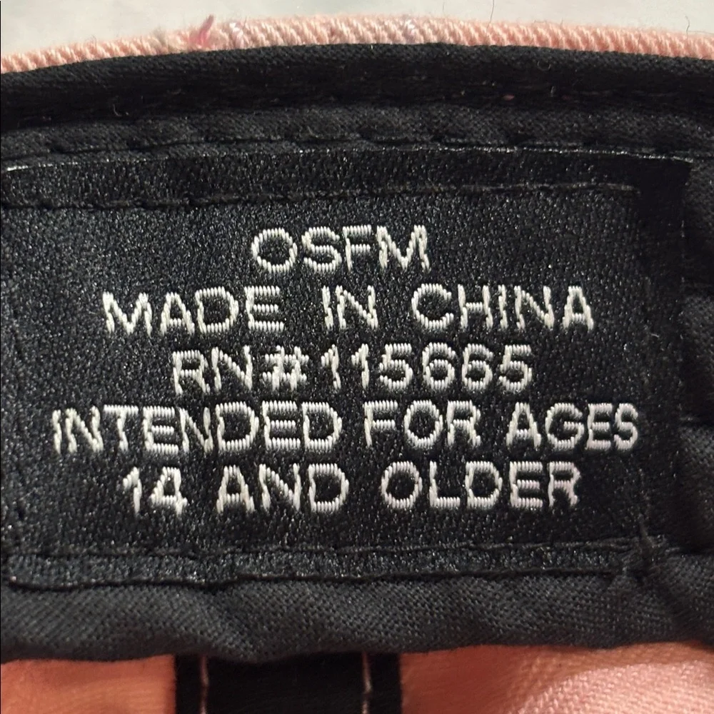 Squishmallow Cam the Cat Pink & Tan Embroidered Dad Hat Cap | Adjustable | EUC - Picture 3 of 4